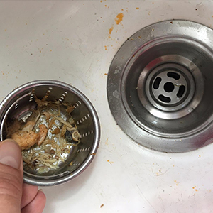 sink strainer