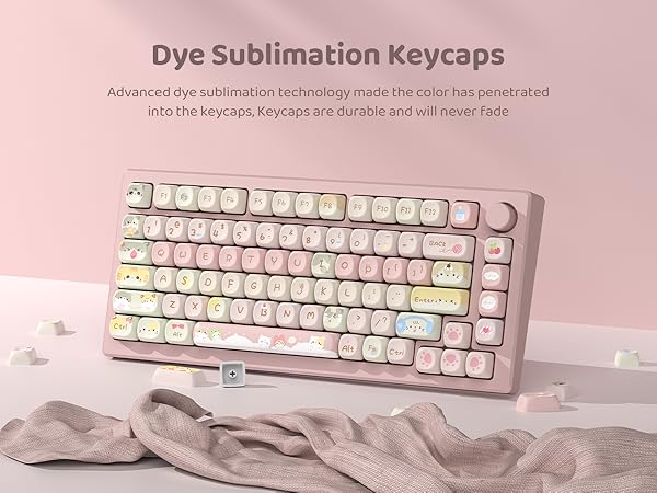 xvx dye sublimation keycaps