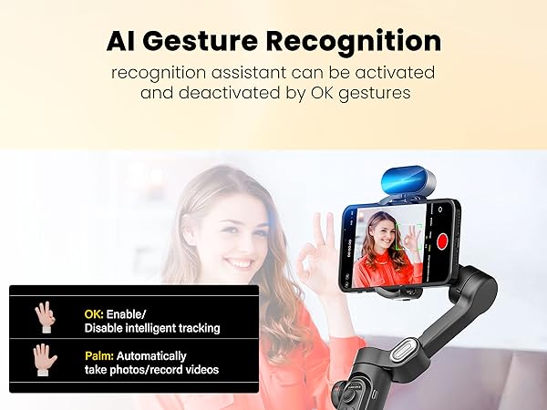 AI ??Gesture Recognition 