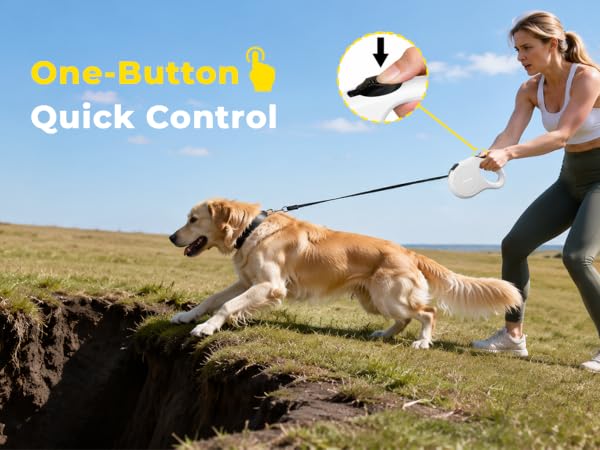 dog leash for small dogs