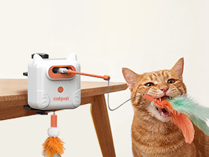 611 CAT TOY