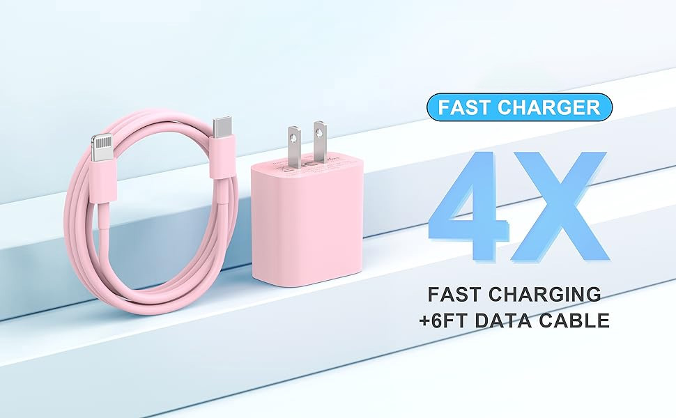 Fast Charger