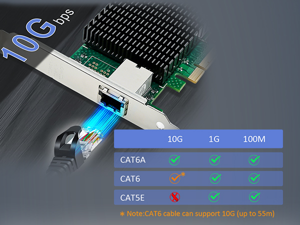10 gb nic