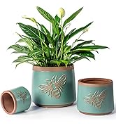 YBX Terracotta Pots Inch with Drainage Holes, Bee Decor, Ceramic Pots for Indoor Plants Flower Po...