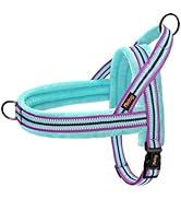 Didog Soft Flannel Padded Dog Vest Harness, No Pull/Quick Fit Reflective Dog Strap Harness, Easy ...