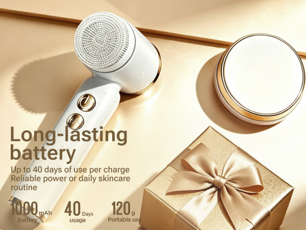 facial cleansing brush