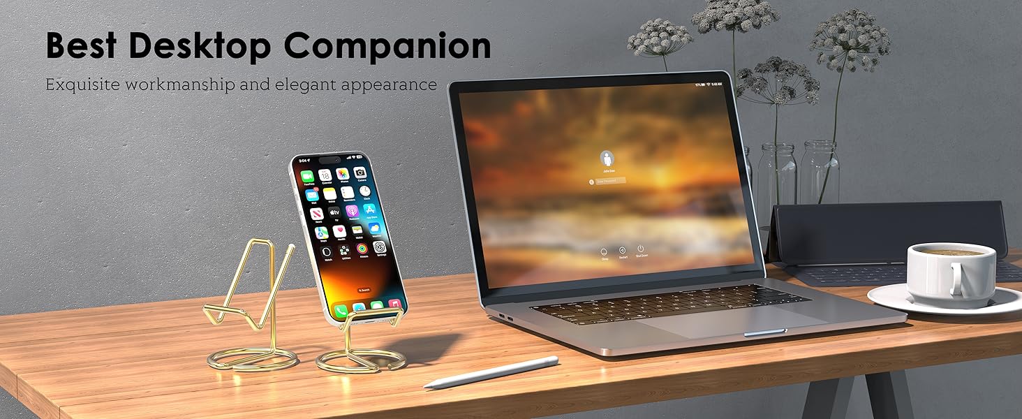 Best Desktop Companion