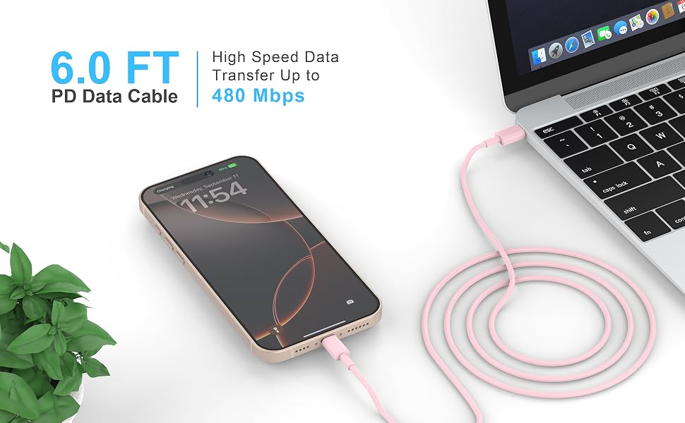 6.0FT Cable