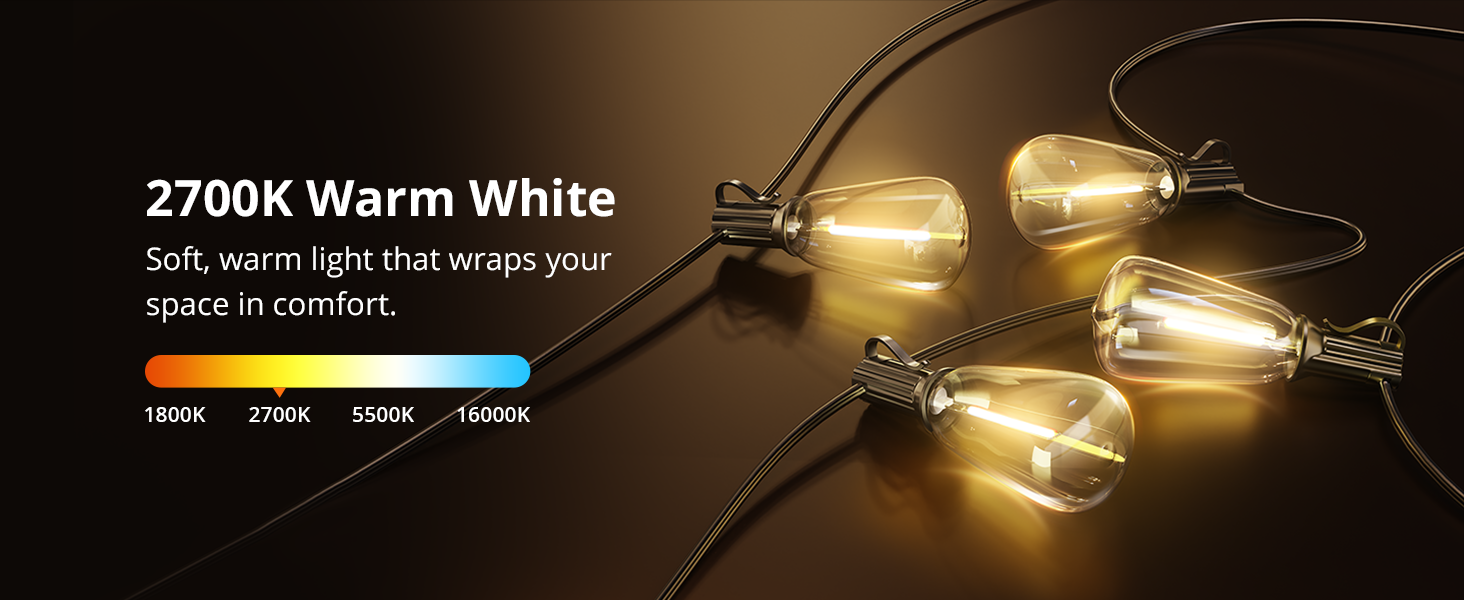 outdoor string lights