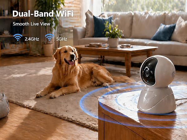 pet camera