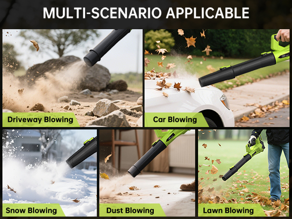 Multi-scenario Application