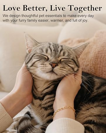cat feeder