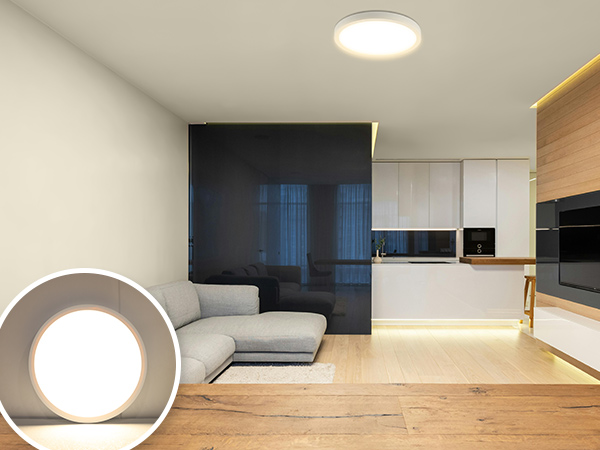 flush mount light