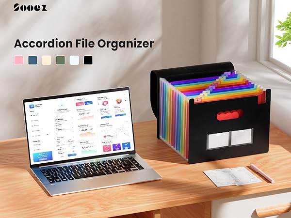 File Organizer
