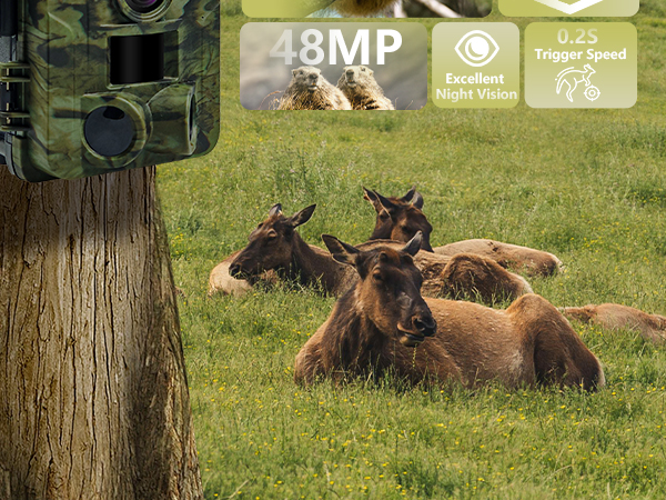 WiFi Game Camera
