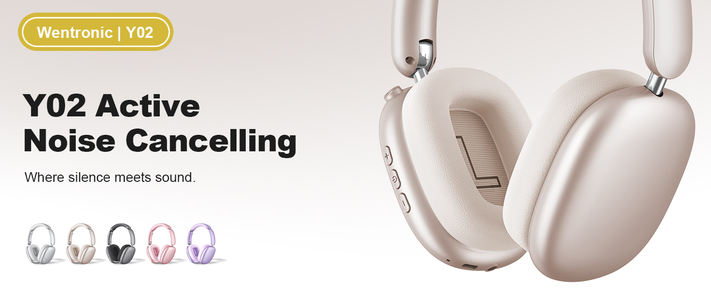 Wentronic Y02 Hybrid Active Noise Cancelling Wireless Headphones