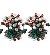 BOHON Christmas Lights Outdoor Pack of 2 Sets 19FT 70 LEDs Multi Color UL Certified Christmas Str...