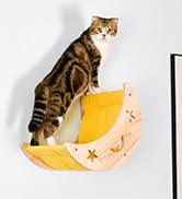 DITOSH Cat Hammock Moon Bed Wall Mounted Shelf Cat Wall Shelves and Perches Solid Wood Cat Wall F...