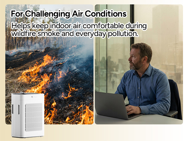 air purifier hepa