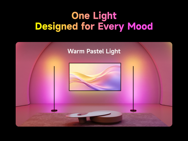 LED Floor Lamp