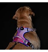 LED Light Up Dog Harness: USB Rechargeable Glowing Waterproof Reflective No Pull Adjustable Oxfor...