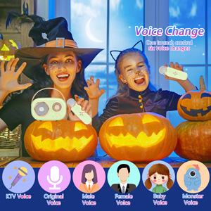  microphone with speaker