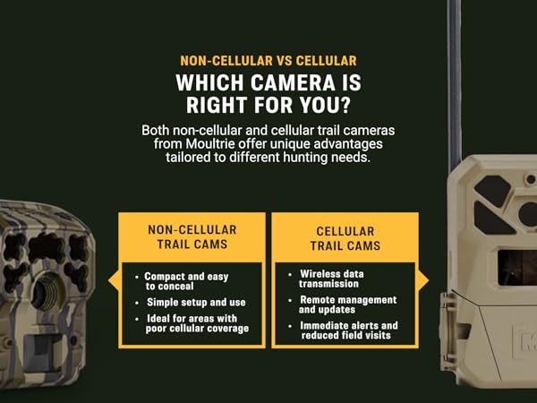 Comparison of Moultrie non-cellular vs. cellular trail cameras.
