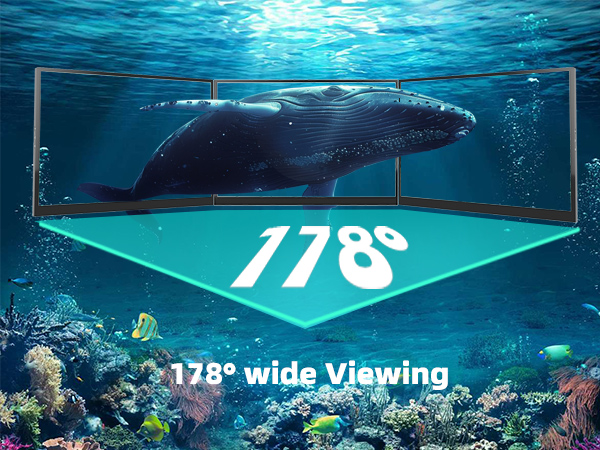 portable monitor wide Viewing