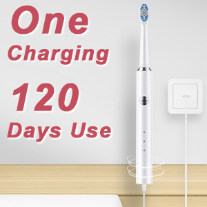 one charging for 120 days use