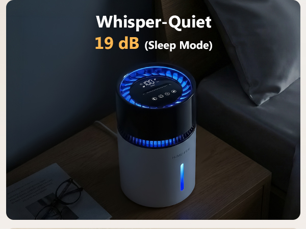 Mist-Free Evaporative Humidifier