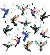 FOZEE Hummingbird Hanging Swirls, Bird Ceiling Decorations, Hummingbird Birthday Party Decoration...