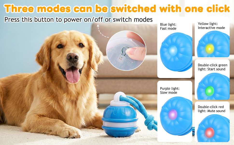Interactive Dog Toys