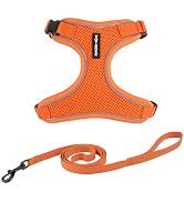 Voyager Escape Proof Cat Harness and Leash Set with Reflective Stitching, Neoprene Handle 5ft - S...