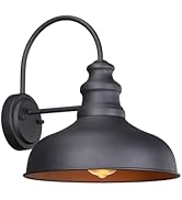 LEONLITE Outdoor Gooseneck Barn Light, ETL Listed Farmhouse Exterior Wall Mount Light Vintage, 11...