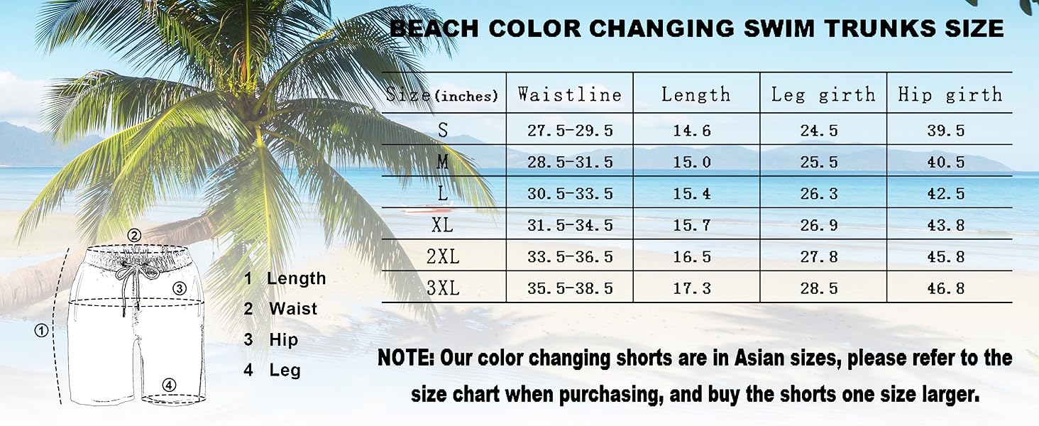 Men's Swim Trunks