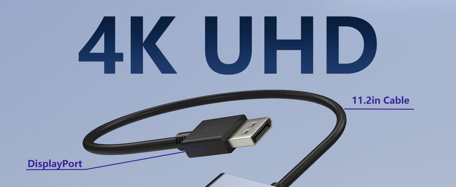 DisplayPort to Dual DisplayPort