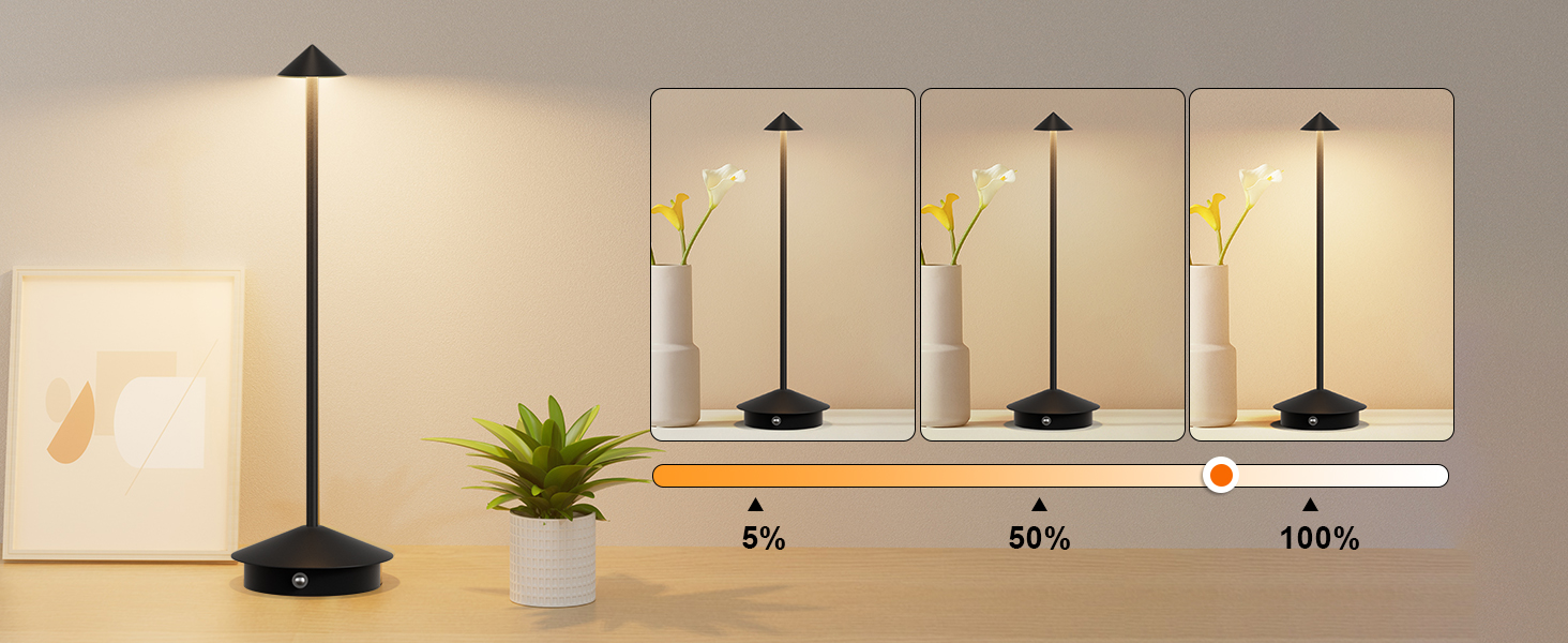 dimmable indoor outdoor lights rechargeable