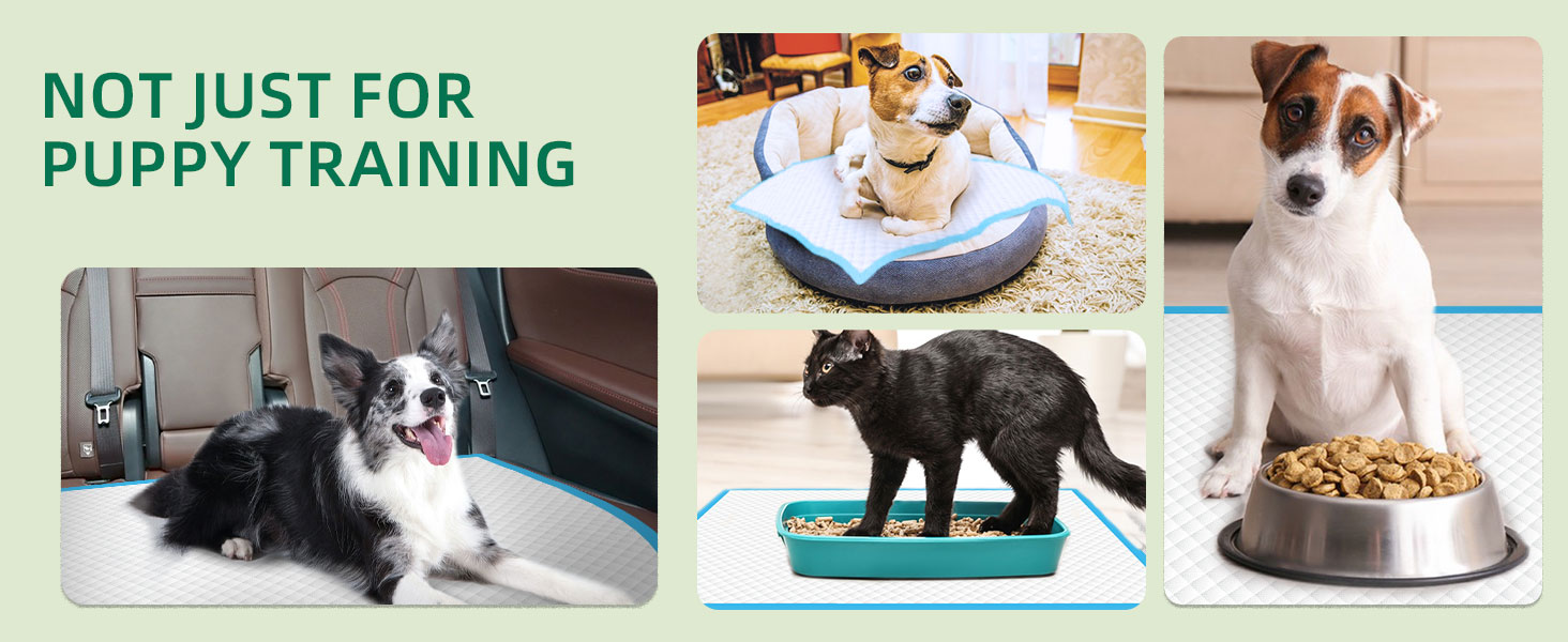 Multiple Usages Disposable Dog Pee Pads