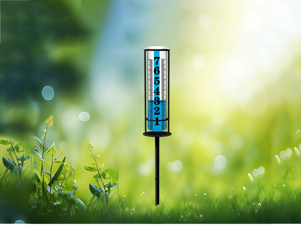 Rain Gauge