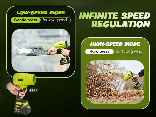 Adjustable Wind Speed