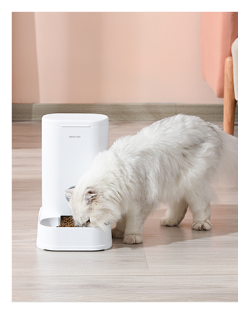 cat feeder graivity