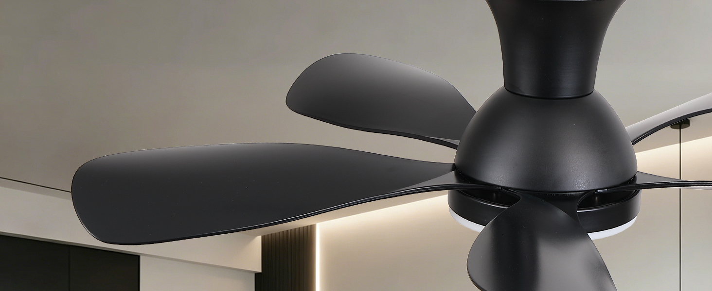 ceiling fan