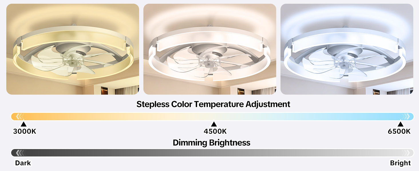 ceiling light with fan