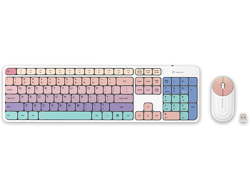 rainbow colorful keyboard and mouse set
