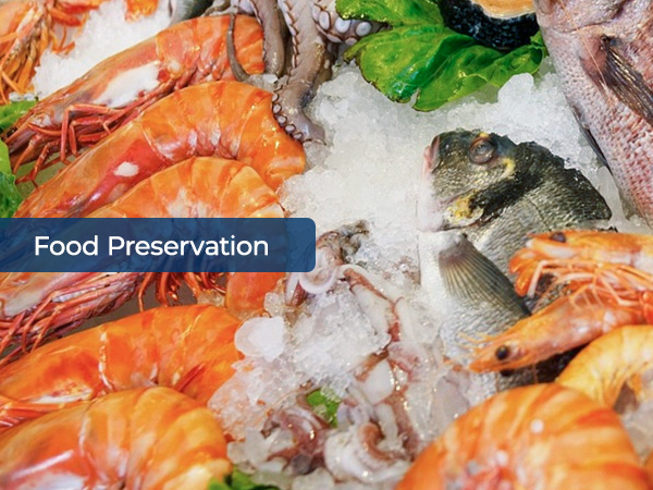 Bullet ice can be used to preserve seafood