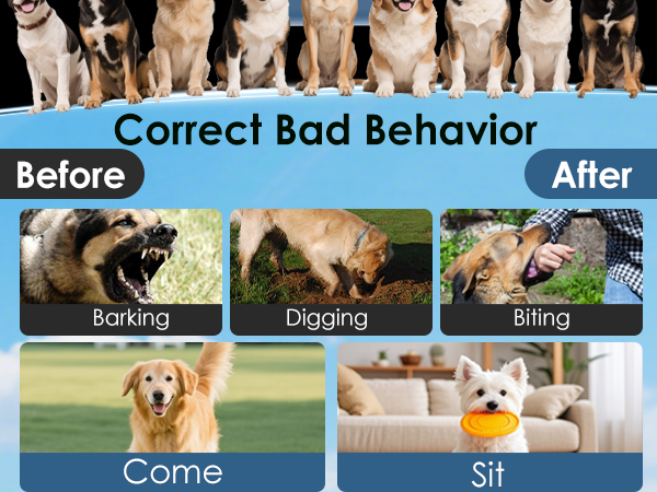 Correct Bad Behavior