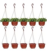 10 Pack Small Plastic Hanging Planters, 6.29" Hanging Flower Plant Pots Basket Planter Holder Rou...
