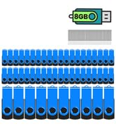 8GB