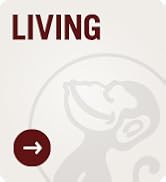 Monkey Business Morris The Donkey - Desktop Note Pad, Note Dispenser and Pen Holder, for Memo, No...