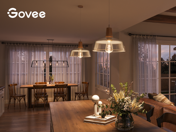 Govee smart edison bulbs ST19